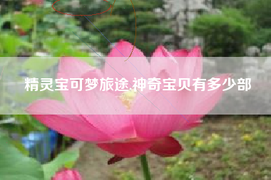 精灵宝可梦旅途,神奇宝贝有多少部