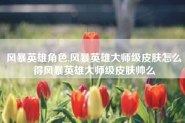 风暴英雄角色,风暴英雄大师级皮肤怎么得风暴英雄大师级皮肤帅么