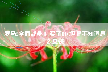 罗马2全面战争dlc,买了DLC但是不知道怎么安装