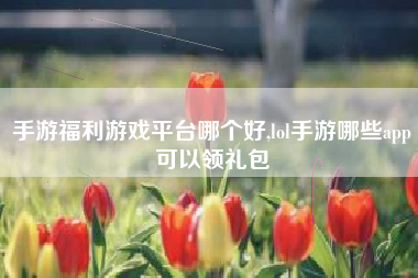 手游福利游戏平台哪个好,lol手游哪些app可以领礼包