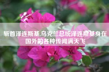 斩首泽连斯基,乌克兰总统泽连斯基身在国外的各种传闻满天飞