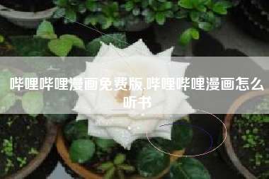 哔哩哔哩漫画免费版,哔哩哔哩漫画怎么听书