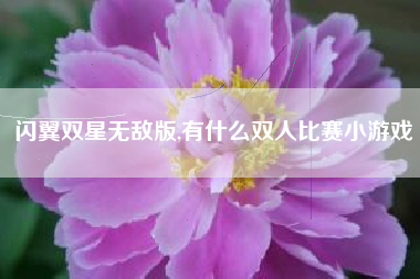 闪翼双星无敌版,有什么双人比赛小游戏