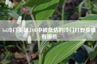 lol冷门英雄,LOL中被低估的冷门打野英雄有哪些