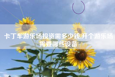 卡丁车游乐场投资需多少钱,开个游乐场需要哪些设备