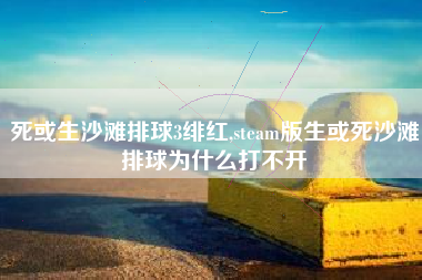 死或生沙滩排球3绯红,steam版生或死沙滩排球为什么打不开