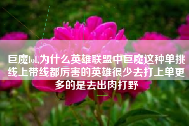 巨魔lol,为什么英雄联盟中巨魔这种单挑线上带线都厉害的英雄很少去打上单更多的是去出肉打野
