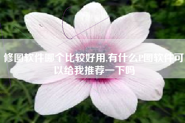 修图软件哪个比较好用,有什么P图软件可以给我推荐一下吗