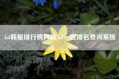 lol韩服排行榜网站,lol一区排名查询系统