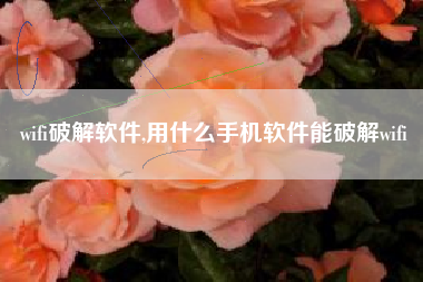 wifi破解软件,用什么手机软件能破解wifi