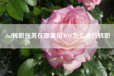dnf转职任务在哪里接,DNF怎么进行转职