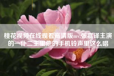 桃花视频在线观看高清版mv,张嘉译主演的一仆二主里他的手机铃声里这么唱