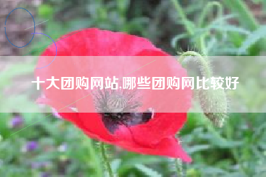 十大团购网站,哪些团购网比较好