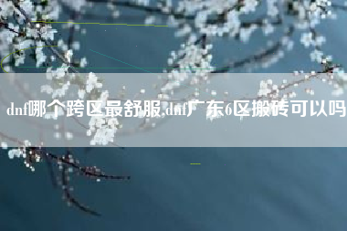 dnf哪个跨区最舒服,dnf广东6区搬砖可以吗