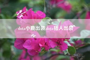 dota小鹿出装,dota猪人出装