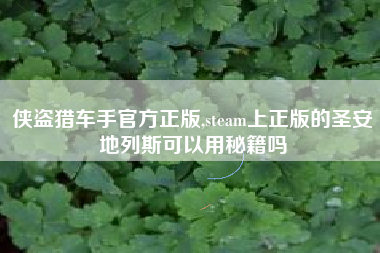 侠盗猎车手官方正版,steam上正版的圣安地列斯可以用秘籍吗