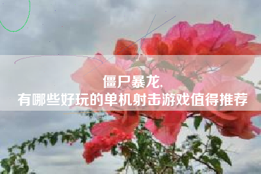 僵尸暴龙,
有哪些好玩的单机射击游戏值得推荐