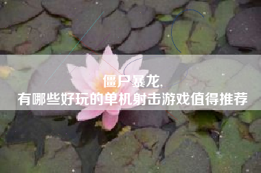 僵尸暴龙,
有哪些好玩的单机射击游戏值得推荐