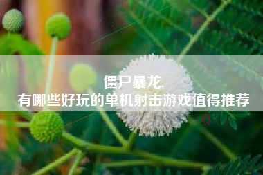 僵尸暴龙,
有哪些好玩的单机射击游戏值得推荐