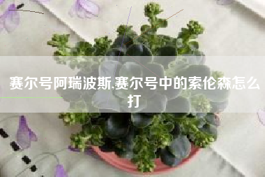 赛尔号阿瑞波斯,赛尔号中的索伦森怎么打