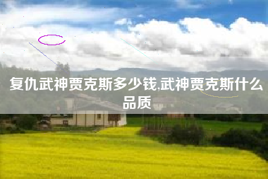 复仇武神贾克斯多少钱,武神贾克斯什么品质