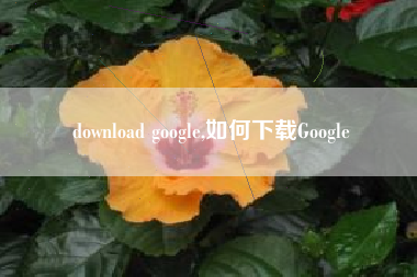 download google,如何下载Google
