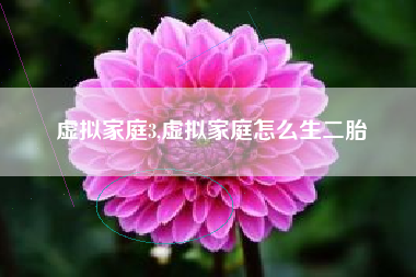 虚拟家庭3,虚拟家庭怎么生二胎
