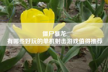 僵尸暴龙,
有哪些好玩的单机射击游戏值得推荐