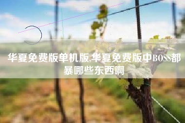 华夏免费版单机版,华夏免费版中BOSS都暴哪些东西啊