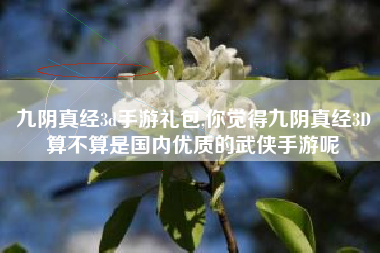 九阴真经3d手游礼包,你觉得九阴真经3D算不算是国内优质的武侠手游呢