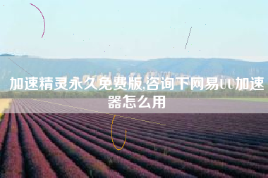 加速精灵永久免费版,咨询下网易UU加速器怎么用