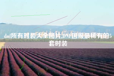 dnf所有时装大全图片,DNF国服最稀有的5套时装