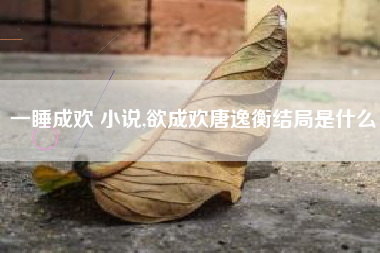 一睡成欢 小说,欲成欢唐逸衡结局是什么