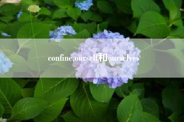 confine,ourself和ourselves