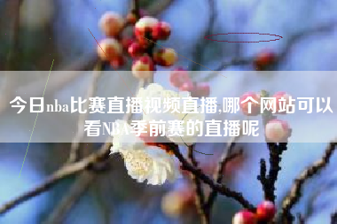 今日nba比赛直播视频直播,哪个网站可以看NBA季前赛的直播呢