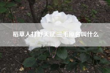 稻草人打野天赋,三毛原名叫什么