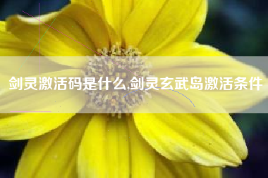 剑灵激活码是什么,剑灵玄武岛激活条件