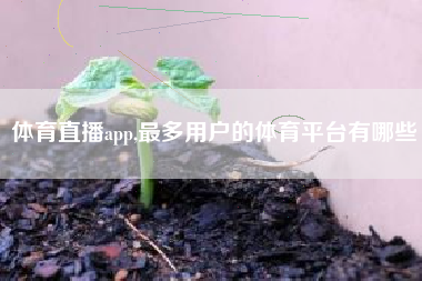 体育直播app,最多用户的体育平台有哪些