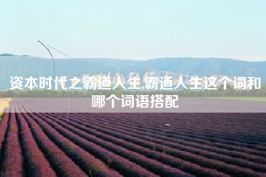 资本时代之霸道人生,霸道人生这个词和哪个词语搭配