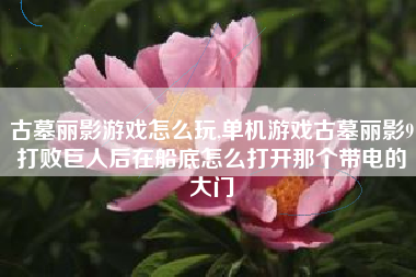 古墓丽影游戏怎么玩,单机游戏古墓丽影9打败巨人后在船底怎么打开那个带电的大门