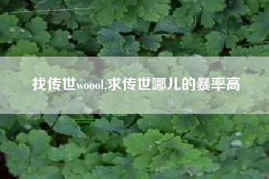 找传世woool,求传世哪儿的暴率高