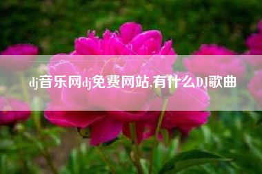 dj音乐网dj免费网站,有什么DJ歌曲