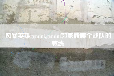 风暴英雄gemini,gemini郭家毅哪个战队的教练