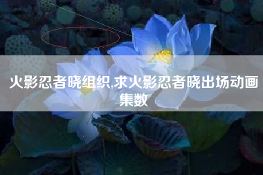 火影忍者晓组织,求火影忍者晓出场动画集数