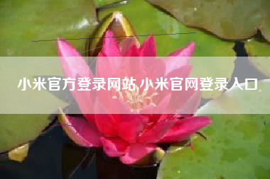 小米官方登录网站,小米官网登录入口