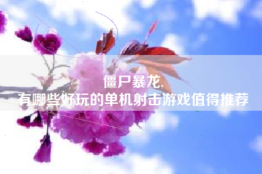 僵尸暴龙,
有哪些好玩的单机射击游戏值得推荐