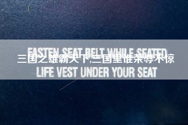 三国之雄霸天下,三国里谁荣辱不惊