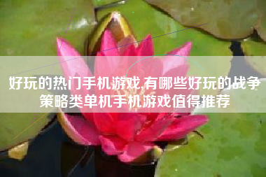 好玩的热门手机游戏,有哪些好玩的战争策略类单机手机游戏值得推荐