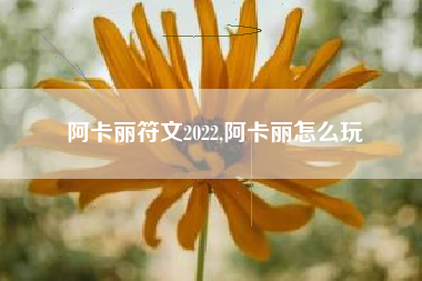 阿卡丽符文2022,阿卡丽怎么玩