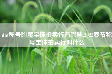 dnf称号附魔宝珠拍卖行有哪些,2022春节称号宝珠拍卖行叫什么